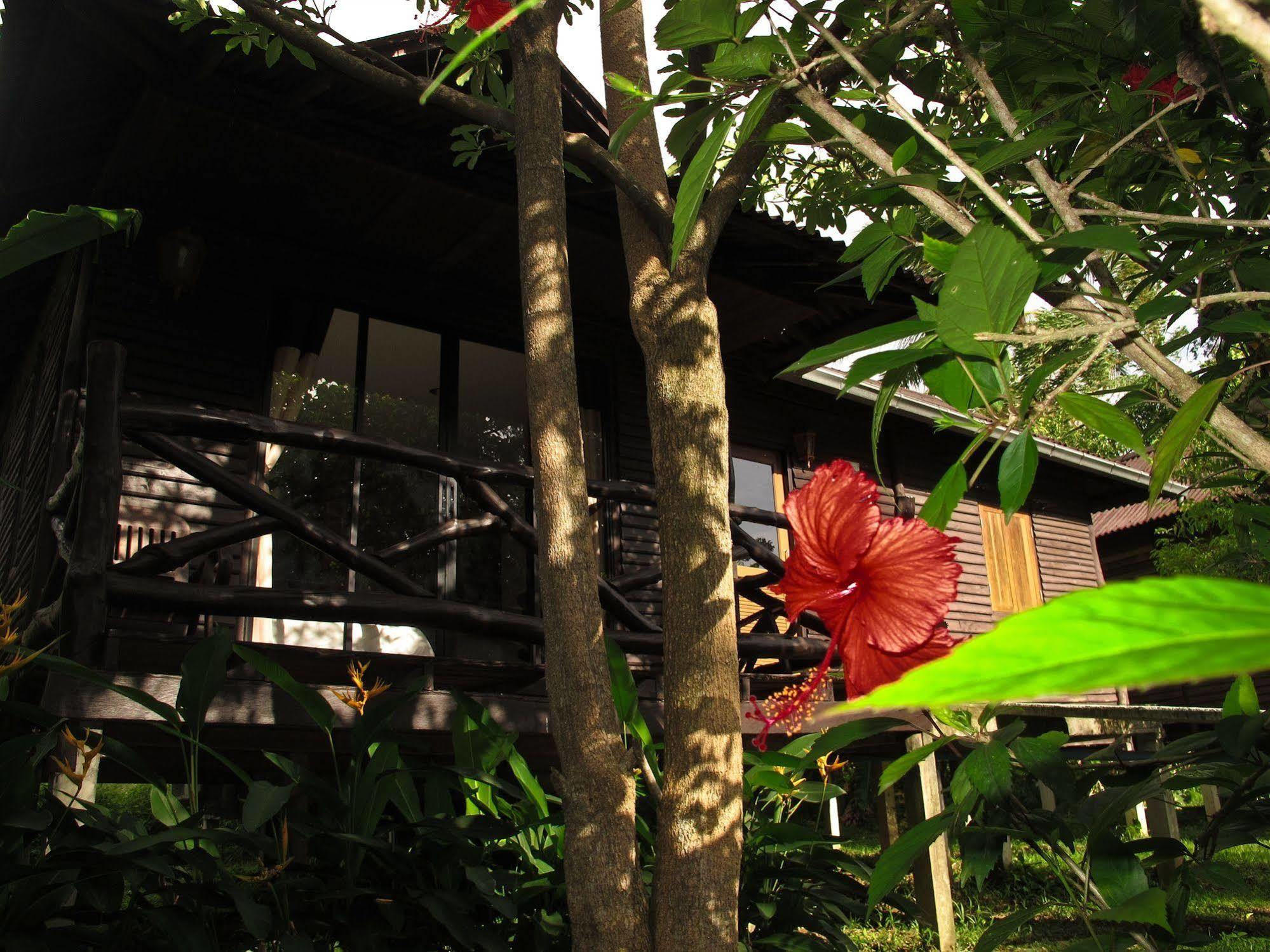 Mook Lanta Eco 渡假村 高兰